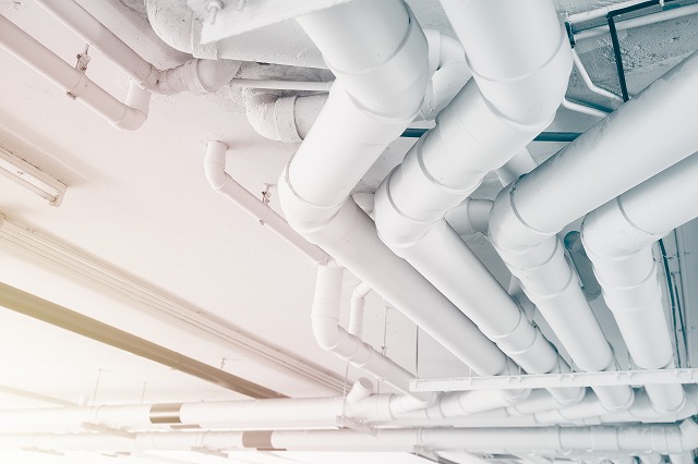 AdobeStock_448605276